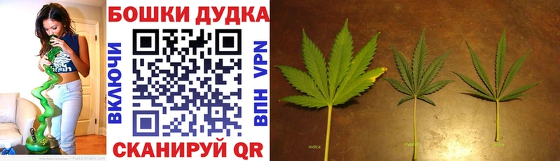 Цена Казань A-PVP  Меф  Псилоцибиновые грибы  МАРИХУАНА 