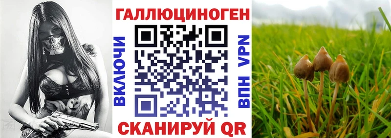 Галлюциногенные грибы Cubensis  купить   Казань 